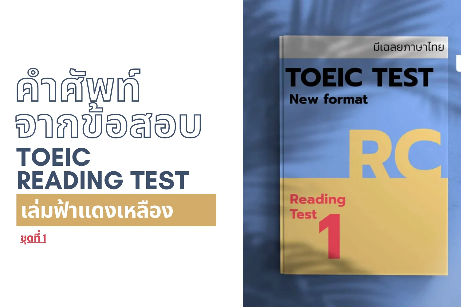 Read more about the article คำศัพท์จากข้อสอบ TOEIC reading ( เล่ม ฟ้า-แดง-เหลือง ) ชุดที่ 1